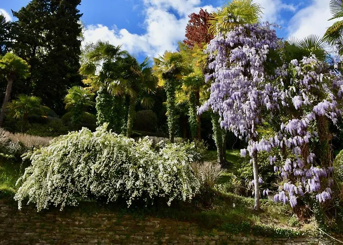 דירה Belle Ile Park